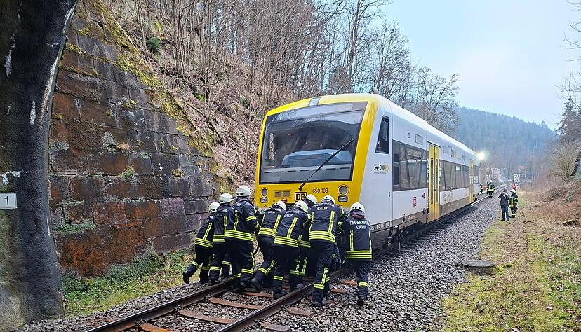 Einsatzkr&auml;fte der Feuerwehr schoben den Zug aus dem Tunnel hinaus.