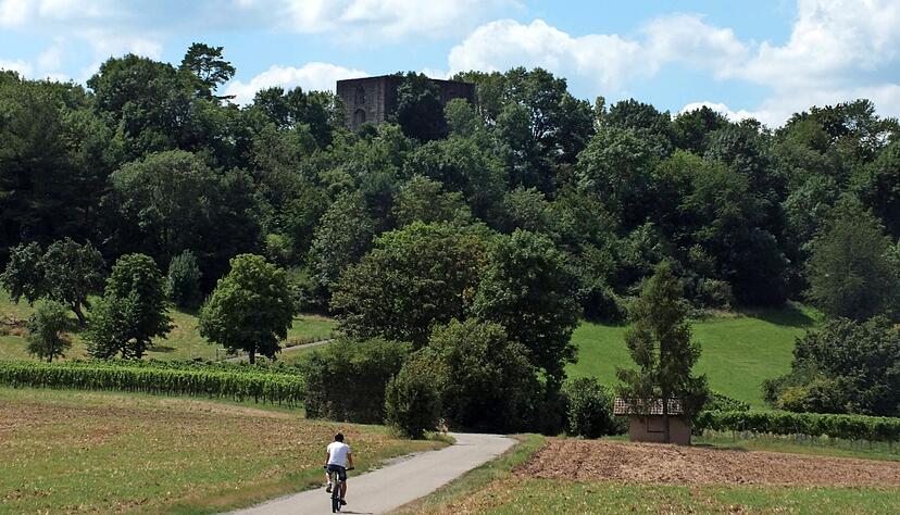 Hinter Bäumen versteckt, ist die Ruine Helfenberg kaum zu sehen. Die Burg wurde zur Stauferzeit erbaut. Foto: Wolfgang Seybold