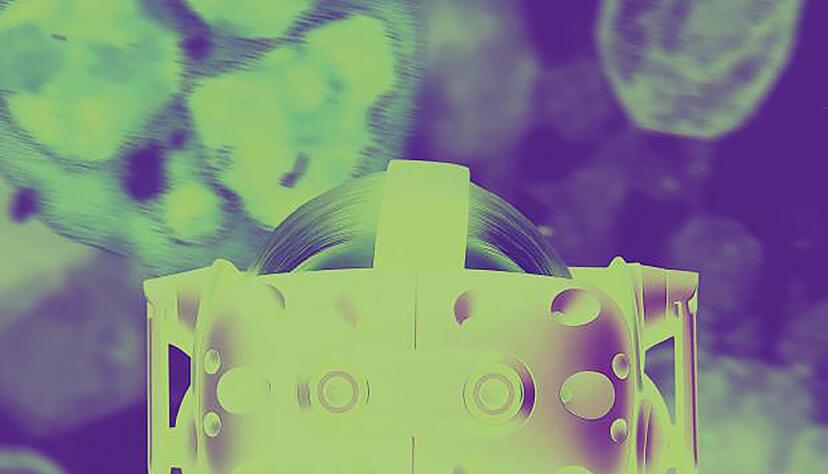 Versuchspersonen sahen Avatare mit sichtbaren Anzeichen von Infektionen. Versuchspersonen sahen Avatare mit sichtbaren Anzeichen von Infektionen.