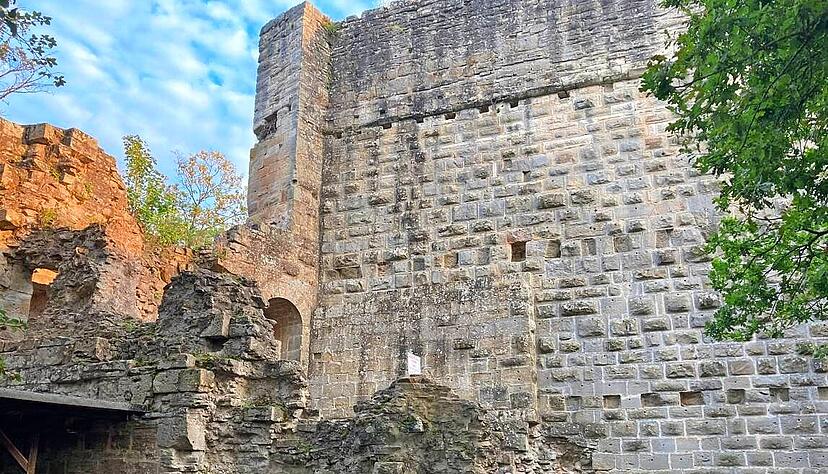 Die Ruine Blankenhorn liegt heute im Wald versteckt. Früher war die Burg im Zabergäu von weitem zu sehen.