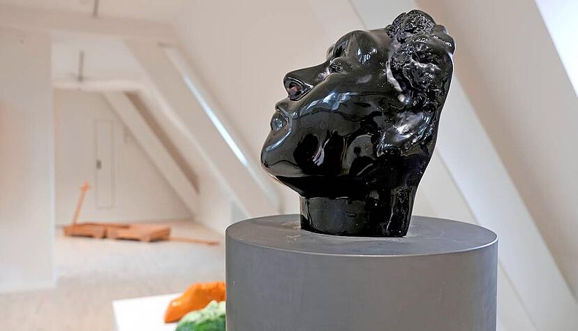 Die Kosten für den Glaskopf von Thomas Schütte aus Muranoglas hatten sich die Städtischen Museen und die Ernst-Franz-Vogelmann-Stiftung 2014 geteilt. Die Kosten für den Glaskopf von Thomas Schütte aus Muranoglas hatten sich die Städtischen Museen und die Ernst-Franz-Vogelmann-Stiftung 2014 geteilt.