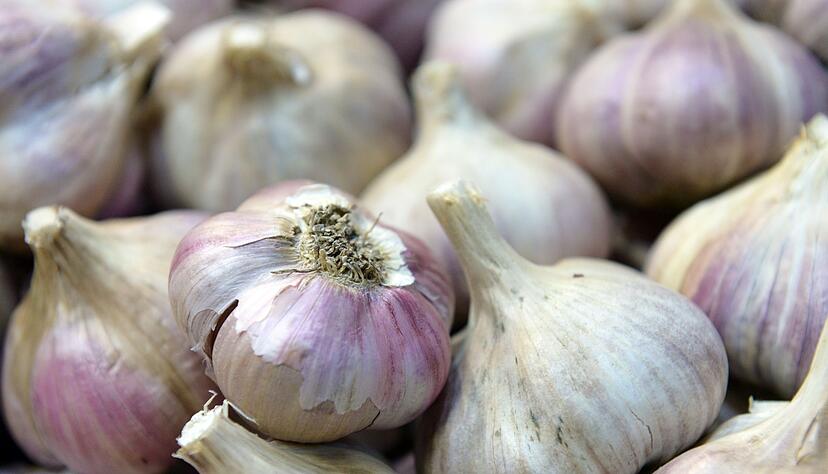 Knoblauch kann im Herbst gepflanzt werden: Hierfür werden die Knoblauchzehen direkt in die Erde gesteckt.
