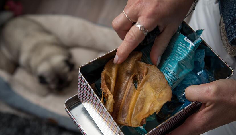 Nach dem Anfassen von Hundesnacks ist gr&uuml;ndliches H&auml;ndewaschen wichtig: So bleibt das Risiko f&uuml;r Mensch und Tier gering.