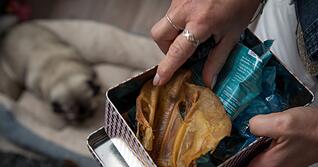 Nach dem Anfassen von Hundesnacks ist gr&uuml;ndliches H&auml;ndewaschen wichtig: So bleibt das Risiko f&uuml;r Mensch und Tier gering.