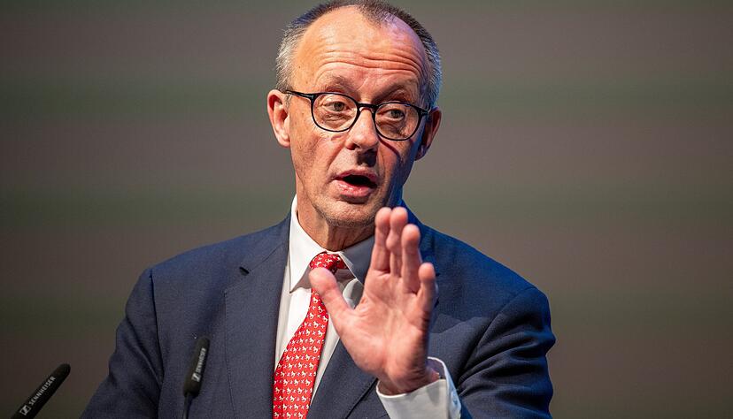 Friedrich Merz wird auch von anderen Politikern als "Pinocchio" bezeichnet. Droht einem Heilbronner nun eine Strafe?