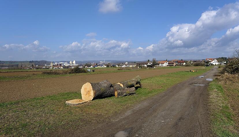 Zuletzt hat besonders ein Projekt die Emotionen bei Bad Friedrichshaller Bürgern hochkochen lassen: die Rodungen im Gebiet "Obere Fundel".
Foto: Archiv/Mugler Zuletzt hat besonders ein Projekt die Emotionen bei Bad Friedrichshaller Bürgern hochkochen lassen: die Rodungen im Gebiet "Obere Fundel".
Foto: Archiv/Mugler