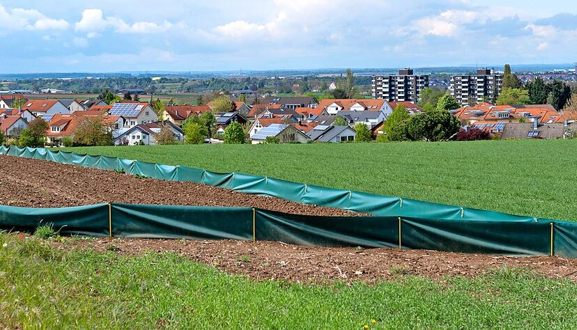 Der Reptilienzaun ist eine der Ma&szlig;nahmen f&uuml;r die Eidechsenvergr&auml;mung im geplanten Baugebiet "Leimengruben&auml;cker II". In diesem Jahr wird es noch nichts mit der Erschlie&szlig;ung.
Foto: Mario Berger