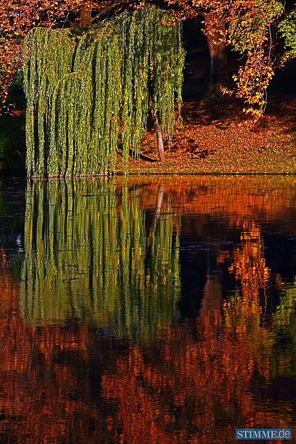 Herbstspaziergang am Neckar in Heilbronn.
