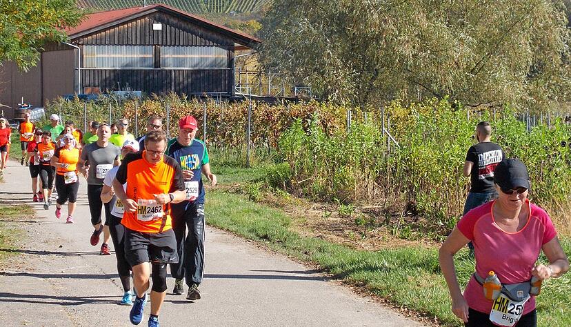 Durch das landschaftlich reizvolle Bottwartal zwischen Steinheim (Murr) und Beilstein verläuft die Strecke des Bottwartal-Marathons.
Foto: Seybold