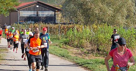 Durch das landschaftlich reizvolle Bottwartal zwischen Steinheim (Murr) und Beilstein verläuft die Strecke des Bottwartal-Marathons.
Foto: Seybold Durch das landschaftlich reizvolle Bottwartal zwischen Steinheim (Murr) und Beilstein verläuft die Strecke des Bottwartal-Marathons.
Foto: Seybold
