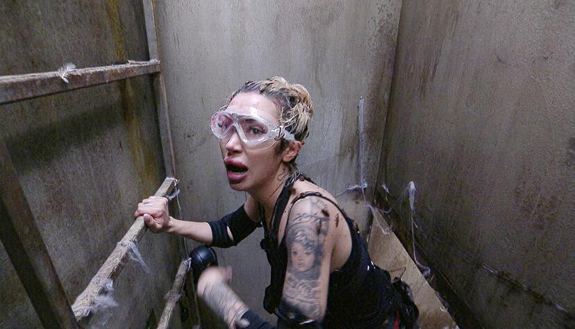 Holt tats&auml;chlich vier Sterne: Ariel, das Dschungel-K&uuml;ken - oder &laquo;M&auml;usele&raquo;, wie Ofarim sagt.