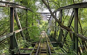 Ein bisschen wie im Dschungel: Auch die zugewucherte Br&uuml;cke im Jagsttal erz&auml;hlt ein St&uuml;ck Eisenbahngeschichte und geh&ouml;rt zu den Fundst&uuml;cken im neuen Lost-Places-Buch &uuml;ber die Region Heilbronn.