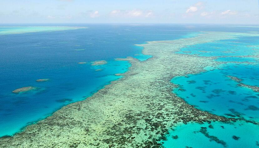 Das Great Barrier Reef in Australien. (Archivbild) Das Great Barrier Reef in Australien. (Archivbild)