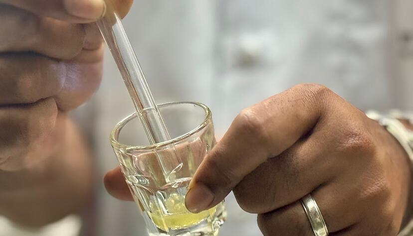 Das gef&auml;hrliche Gift ist gelblich und z&auml;h - und wichtig f&uuml;r die Produktion von Antiserum.