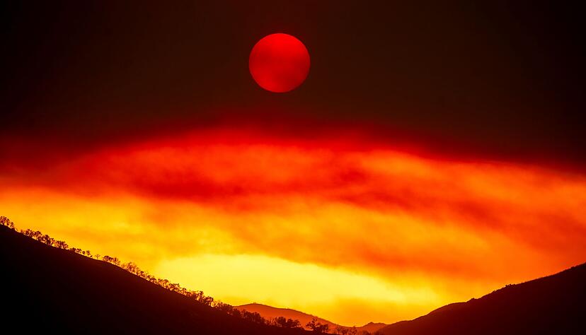 Das sogenannte «Gifford Fire» wütet im Los Padres National Forest, einem Waldgebiet nördlich von Santa Barbara. Das sogenannte «Gifford Fire» wütet im Los Padres National Forest, einem Waldgebiet nördlich von Santa Barbara.