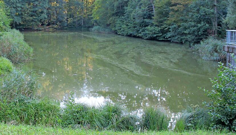 Der Köpferstausee im Naturschutzgebiet Köpfertal wurde Anfang der 1930er Jahre als Regenrückhaltebecken angelegt. Der Köpferstausee im Naturschutzgebiet Köpfertal wurde Anfang der 1930er Jahre als Regenrückhaltebecken angelegt.