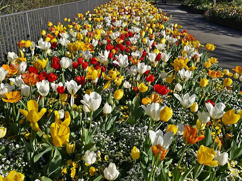 Ein gemütlicher Spaziergang lohnt sich. Ein gemütlicher Spaziergang lohnt sich.