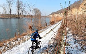 So sah das Teilstück am Neckar zwischen Lauffen und Horkheim früher ohne Geländer aus. Da war es noch kein klassifizierter Radweg.
Foto: Archiv/Veigel