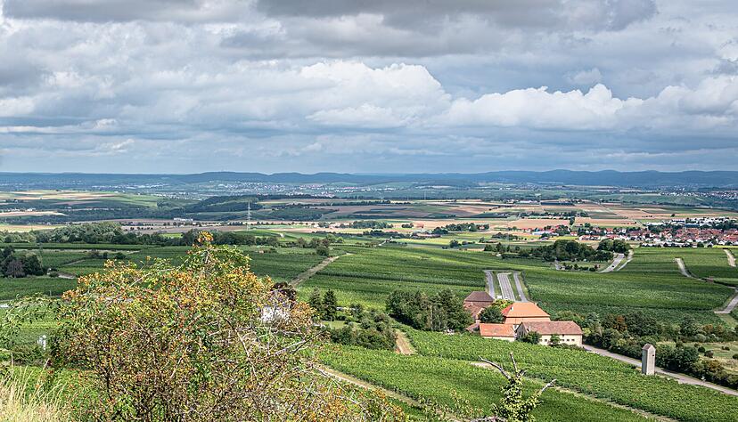 Vom Michaelsberg in alle Richtungen schauen: zum Beispiel auf das Katharinenplaisir und B&ouml;nnigheim.