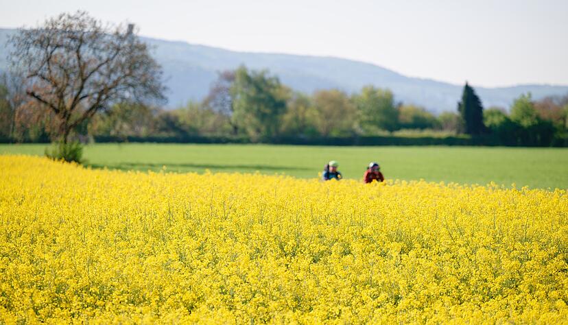 Laut Vorhersagen erreichen die Temperaturen am Samstag bis zu 23 Grad, im Rheintal k&ouml;nnen es auch jenseits 25 Grad werden. (Archivbild)