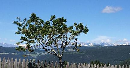 Blick auf die Alpen von der kleinen italienischen Gemeinde Ritten in Südtirol.