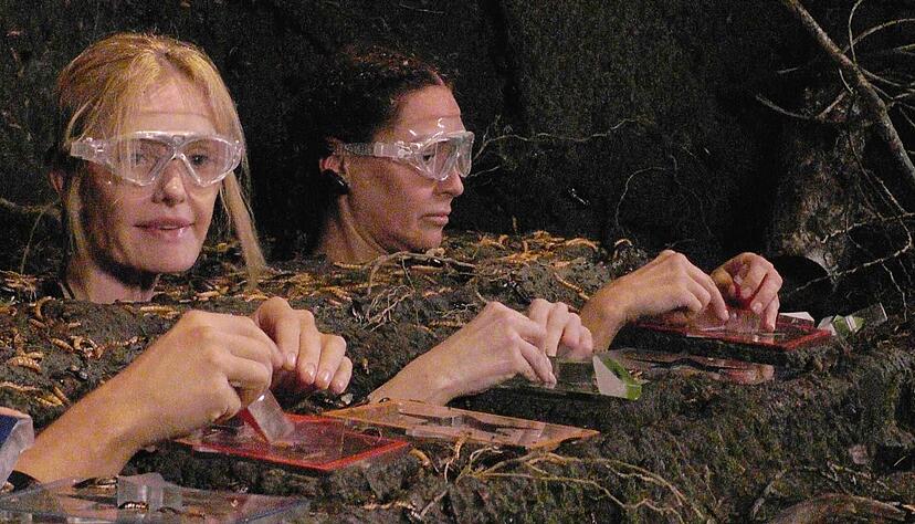 Mirja du Mont scheiterte am Puzzle, Simone Ballack nicht. Mirja du Mont scheiterte am Puzzle, Simone Ballack nicht.