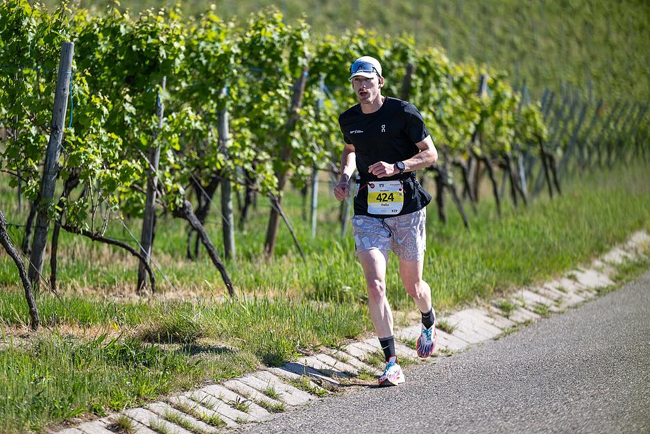 Der Trollinger-Marathon führt die Läufer auch um die Weinberge in Heilbronns Umgebung. Der Trollinger-Marathon führt die Läufer auch um die Weinberge in Heilbronns Umgebung.