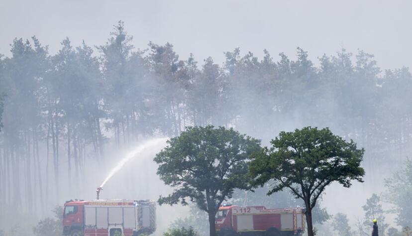 L&ouml;schfahrzeuge der Feuerwehr sind in Sachsen in der Gohrischheide im Einsatz.