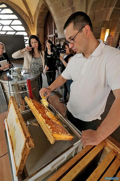 Honig auf der Kilianskirche Honig auf der Kilianskirche