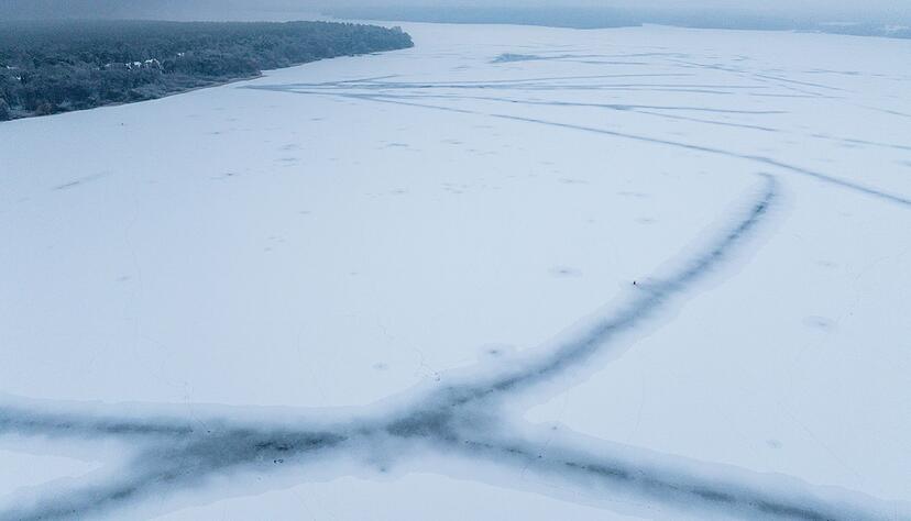 Für die Fische wirkt das Eis nach Aussage eines Experten «beruhigend». Für die Fische wirkt das Eis nach Aussage eines Experten «beruhigend».