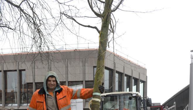 Baumpflanzaktion auf der Allee | 06.11.
