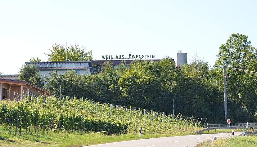 Die WG Winzer vom Weinsberger Tal mit Sitz in L&ouml;wenstein hat sich an der Spitze neu aufgestellt. Mehrere M&auml;nner teilen sich die F&uuml;hrungsaufgaben.