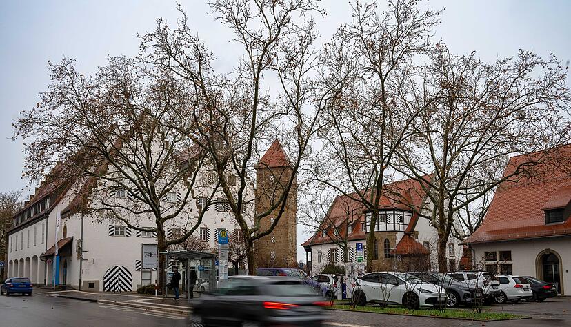 Fünf Ahornbäume auf dem Vorplatz des Zweiradmuseums werden nun doch erst im Januar gefällt. Die Platanen im Bild bleiben erhalten. Foto: Christiana Kunz Fünf Ahornbäume auf dem Vorplatz des Zweiradmuseums werden nun doch erst im Januar gefällt. Die Platanen im Bild bleiben erhalten. Foto: Christiana Kunz