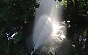 Die Freiwillige Feuerwehr Kloster Schöntal belüftet die Jagst mit Sauerstoff. Foto: Die Freiwillige Feuerwehr Kloster Schöntal belüftet die Jagst mit Sauerstoff. Foto: