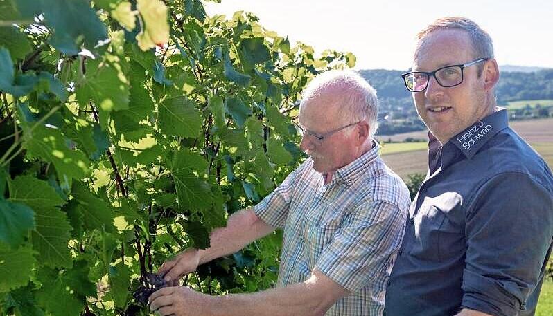 Für Heinz und Lucas Schwab aus Bretzfeld-Dimbach begann die Traubenlese 2025 so früh wie nie, ging so schnell wie nie und war früher denn je zu Ende.
