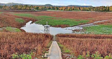 Im Herbst verwelkte der grüne Teppich, der auf dem trocken Seegrund durch Flugsamen gewachsen war. Der neue, acht Meter hohe Entnahmeturm wird unter der Wasseroberfläche versinken.
Foto: privat Im Herbst verwelkte der grüne Teppich, der auf dem trocken Seegrund durch Flugsamen gewachsen war. Der neue, acht Meter hohe Entnahmeturm wird unter der Wasseroberfläche versinken.
Foto: privat