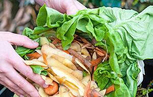 Rund 10?000 Tonnen Biomüll produzieren die Bürger des Hohenlohekreises pro Jahr. Er wird noch nicht energetisch verwertet, sondern zu Kompost verarbeitet.
Foto: privat Rund 10?000 Tonnen Biomüll produzieren die Bürger des Hohenlohekreises pro Jahr. Er wird noch nicht energetisch verwertet, sondern zu Kompost verarbeitet.
Foto: privat