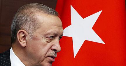 Präsident Recep Tayyip Erdogan regiert die Türkei seit gut 20 Jahren. Präsident Recep Tayyip Erdogan regiert die Türkei seit gut 20 Jahren.