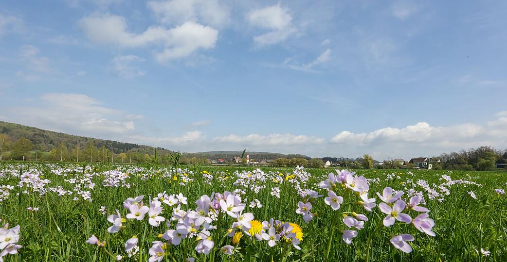 Tags&uuml;ber soll es fr&uuml;hlingshaft mild werden - nachts dagegen frostig.