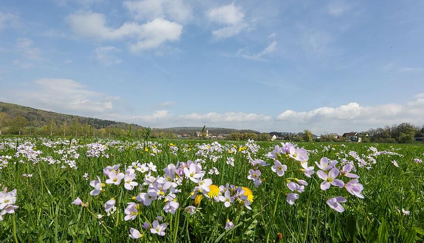 Tags&uuml;ber soll es fr&uuml;hlingshaft mild werden - nachts dagegen frostig.
