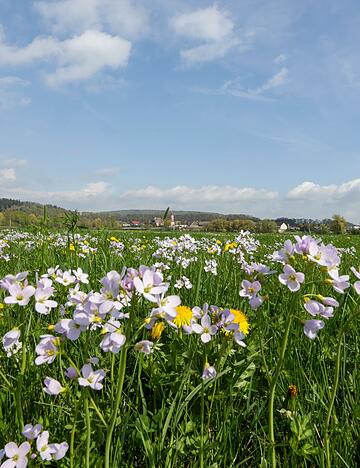 Tags&uuml;ber soll es fr&uuml;hlingshaft mild werden - nachts dagegen frostig.