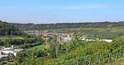 Blick von oben auf das Kochertal, hier zwischen Ingelfingen und Criesbach: Die HZ-Sommer-Radtour führt entlang des Flusses zu vielen sehenswerten Zielen.
Fotos: Armin Rößler