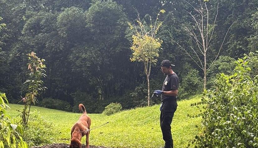 Die Ermittler entdeckten die Leichen mit Hilfe eines Sp&uuml;rhunds.