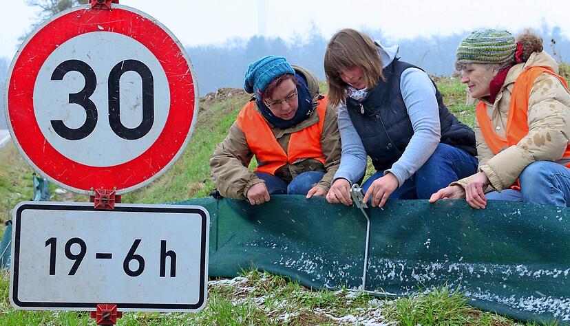 Kreisökologin Stefanie Kielhorn (Mitte) erklärt den freiwilligen Helferinnen Annette Schwarz von Specht (rechts) und Marion Valentin, wie die Krötenschutzzäune korrekt befestigt werden.
Foto: Christian Gleichauf Kreisökologin Stefanie Kielhorn (Mitte) erklärt den freiwilligen Helferinnen Annette Schwarz von Specht (rechts) und Marion Valentin, wie die Krötenschutzzäune korrekt befestigt werden.
Foto: Christian Gleichauf