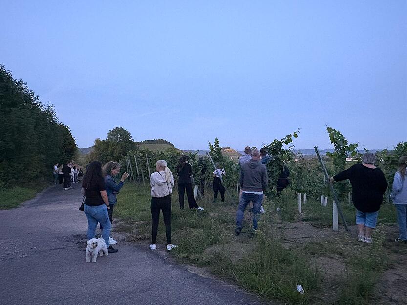 Die totale Mondfinsternis ist ein besonderes Himmelsphänomen – und am Sonntagabend auch in der Region Heilbronn zu sehen. Das Himmelsspektakel wollen sich Schaulustige nicht entgehen lassen.