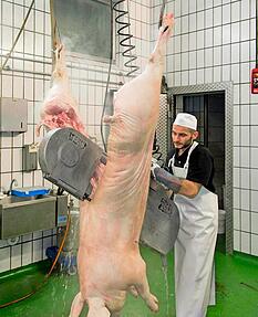 Mit einer Halbierungssäge zerteilt Chris Obenland die Schweine. Mit einer Halbierungssäge zerteilt Chris Obenland die Schweine.