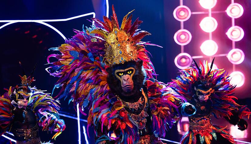 Der Affe - genannt King - gehört sicherlich zu den Favoriten der neuen Staffel. Der Affe - genannt King - gehört sicherlich zu den Favoriten der neuen Staffel.