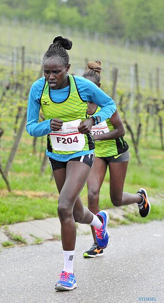 Trollinger Marathon: Marathon und Halbmarathon | 7.5.