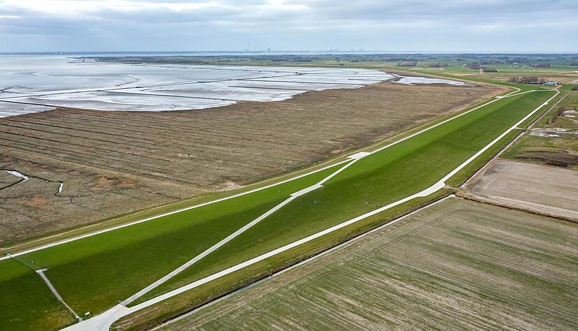 Einige Wissenschaftler appellieren an die Politik, auch einen R&uuml;ckzug aus tiefer gelegenen K&uuml;stenregionen zu erw&auml;gen. (Archivbild)