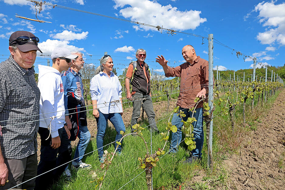 Tag der offenen Weingüter im Wengert vom Weingut Schäfer-Heinrich.